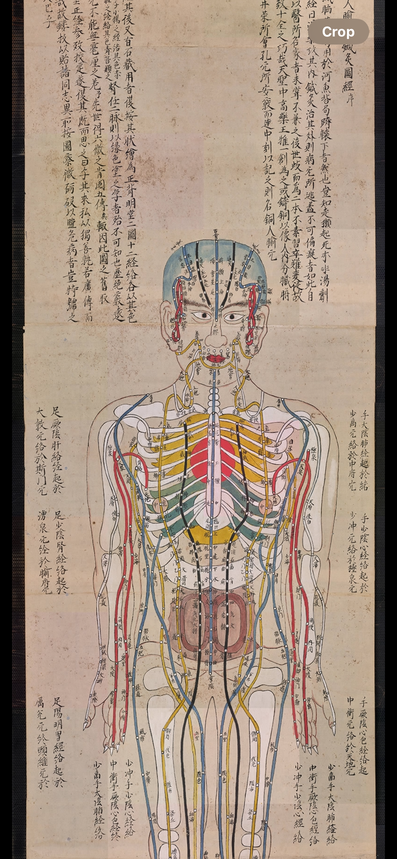 YUANWELLNESS: High-resolution digital Download Japanese Acupuncture Chart – Meridians & Zang-Fu Organs - YUAN WELLNESS