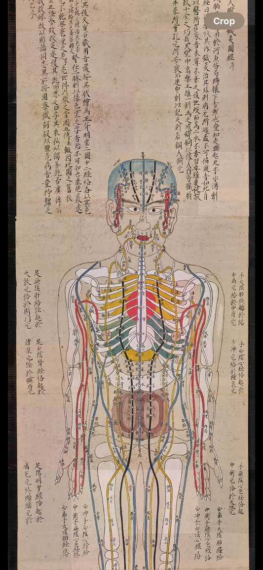 YUANWELLNESS: High-resolution digital Download Japanese Acupuncture Chart – Meridians & Zang-Fu Organs - YUAN WELLNESS
