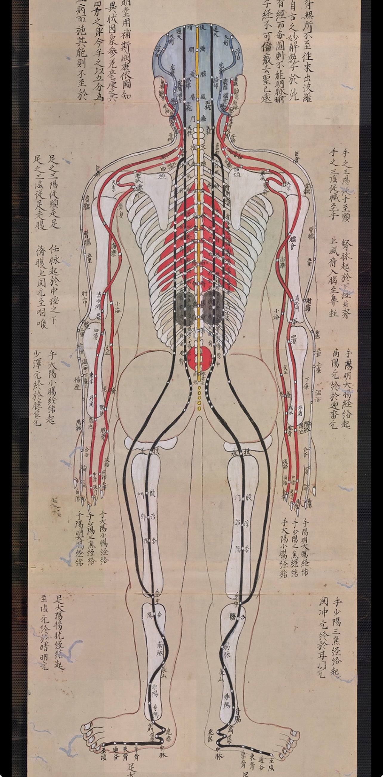 YUANWELLNESS: High-resolution digital Download Japanese Acupuncture Chart – Meridians & Zang-Fu Organs - YUAN WELLNESS