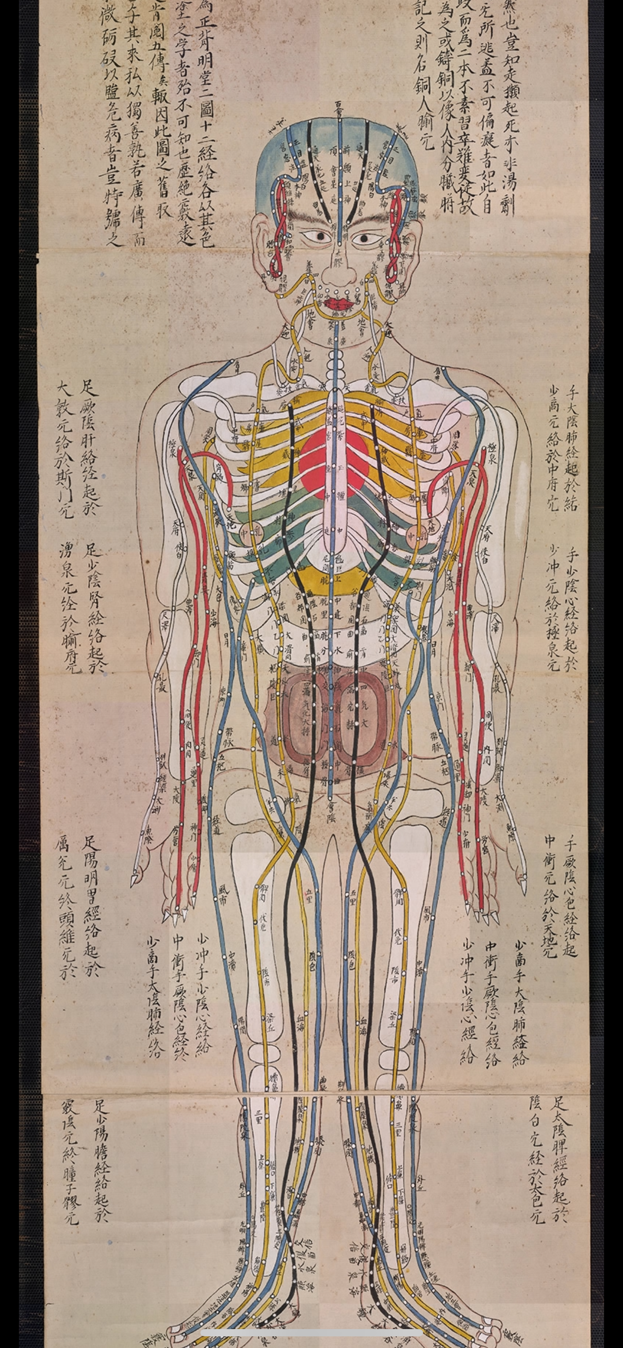 YUANWELLNESS: High-resolution digital Download Japanese Acupuncture Chart – Meridians & Zang-Fu Organs - YUAN WELLNESS