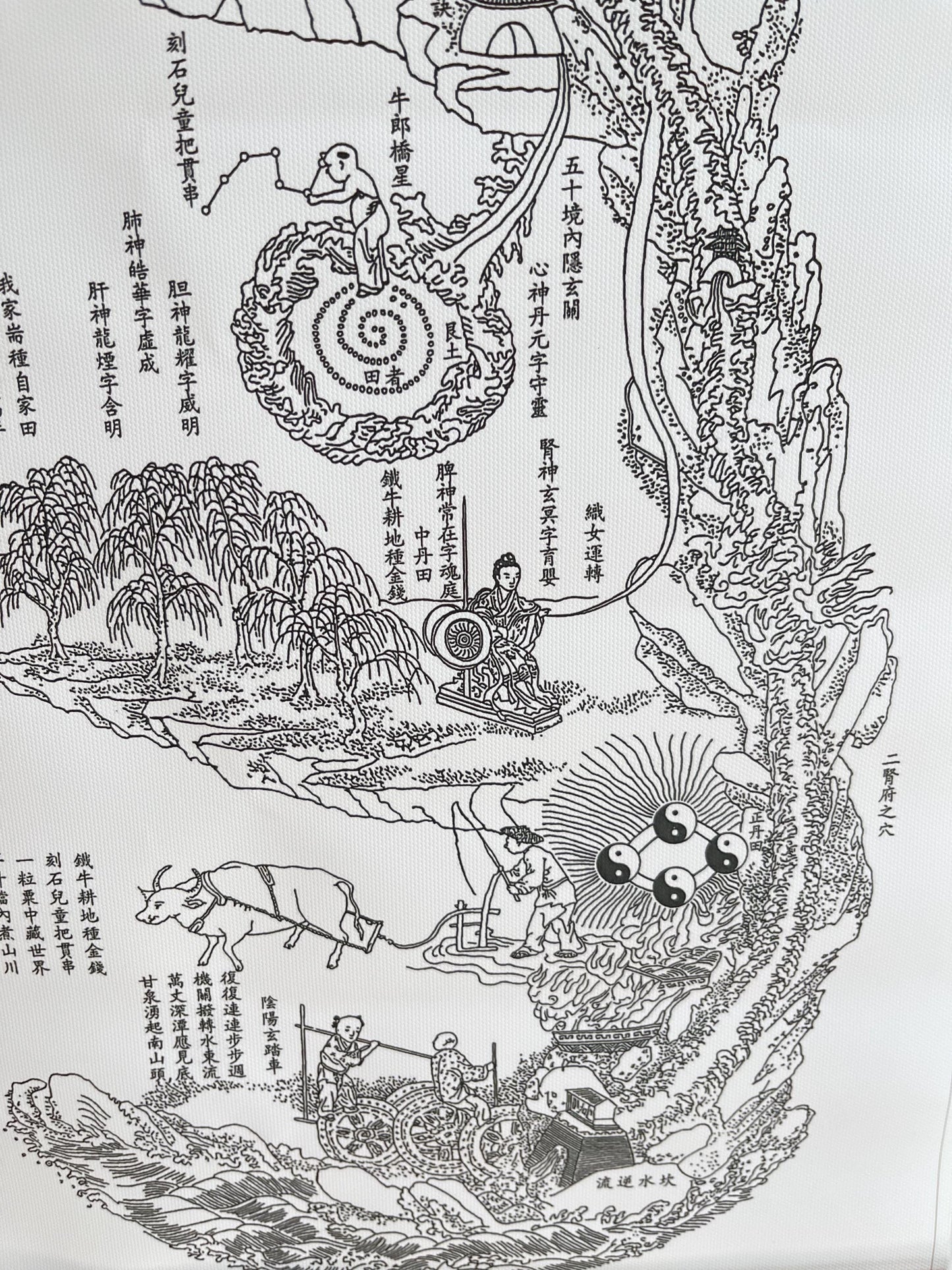 YUANWELLNESS: Neijing Tu, Taoist “Inner Landscape”,Diagram of the human body, Traditional Chinese Medicine, Line Drawing Version - YUAN WELLNESS