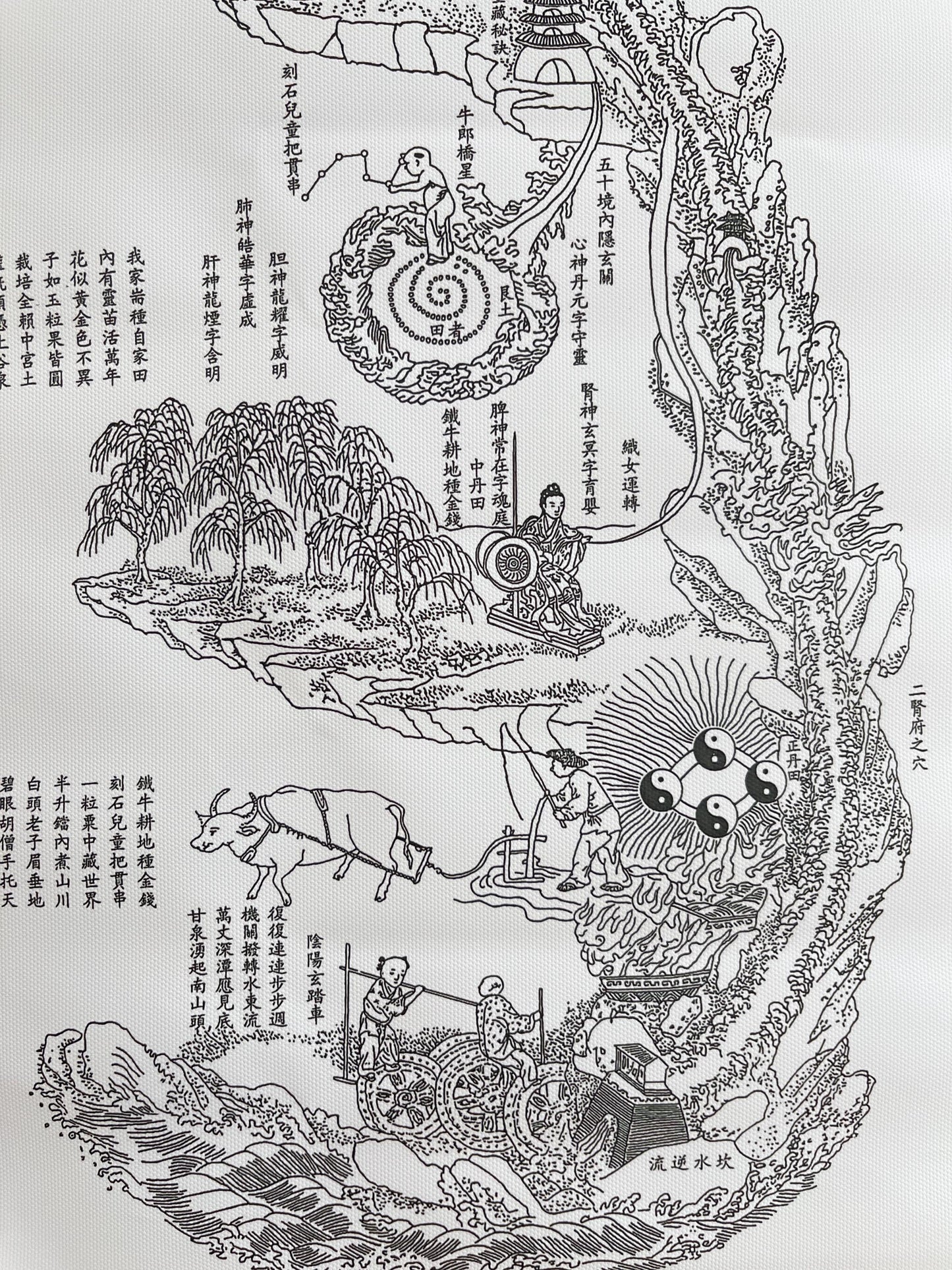 YUANWELLNESS: Neijing Tu, Taoist “Inner Landscape”,Diagram of the human body, Traditional Chinese Medicine, Line Drawing Version - YUAN WELLNESS
