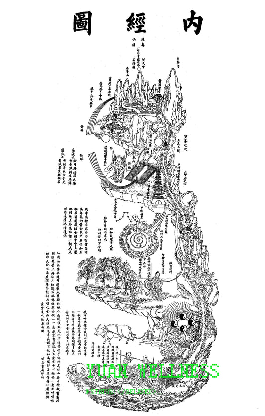 YUANWELLNESS: Digital Print Neijing Tu, Taoist “Inner Landscape”,Diagram of the human body, Traditional Chinese Medicine - YUAN WELLNESS 