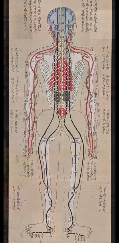 YUANWELLNESS: High-resolution digital Download Japanese Acupuncture Chart – Meridians & Zang-Fu Organs - YUAN WELLNESS 