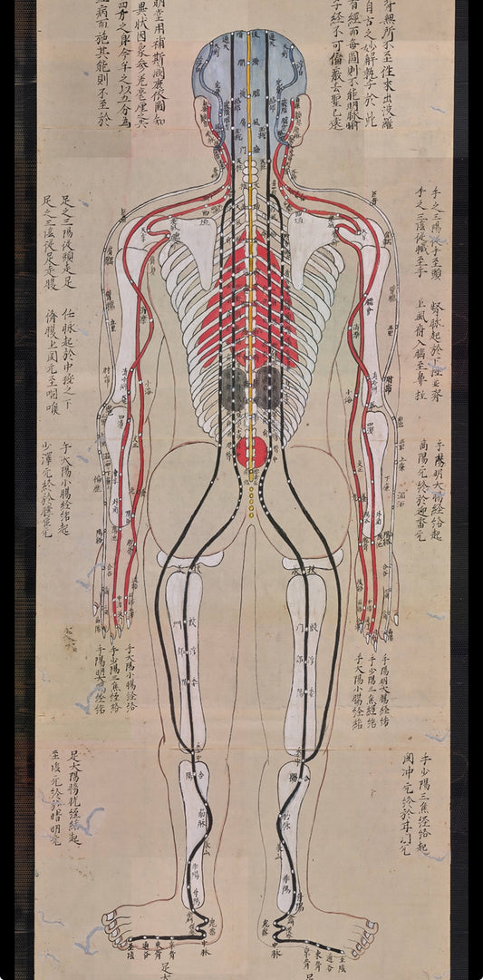 YUANWELLNESS: High-resolution digital Download Japanese Acupuncture Chart – Meridians & Zang-Fu Organs - YUAN WELLNESS 