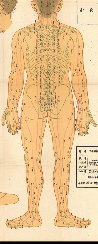 YUANWELLNESS: Channels and Points Chart, Traditional Chinese Medicine - YUAN WELLNESS 