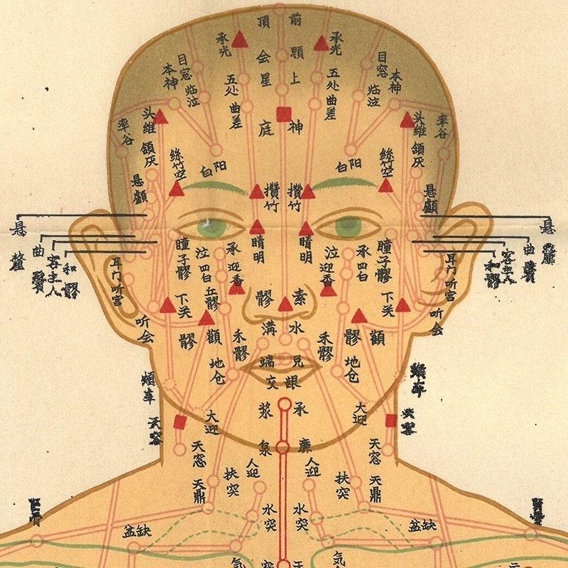 YUANWELLNESS: Channels and Points Chart, Traditional Chinese Medicine - YUAN WELLNESS 