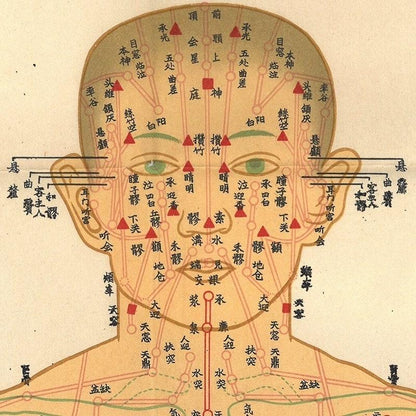 YUANWELLNESS: Channels and Points Chart, Traditional Chinese Medicine - YUAN WELLNESS 