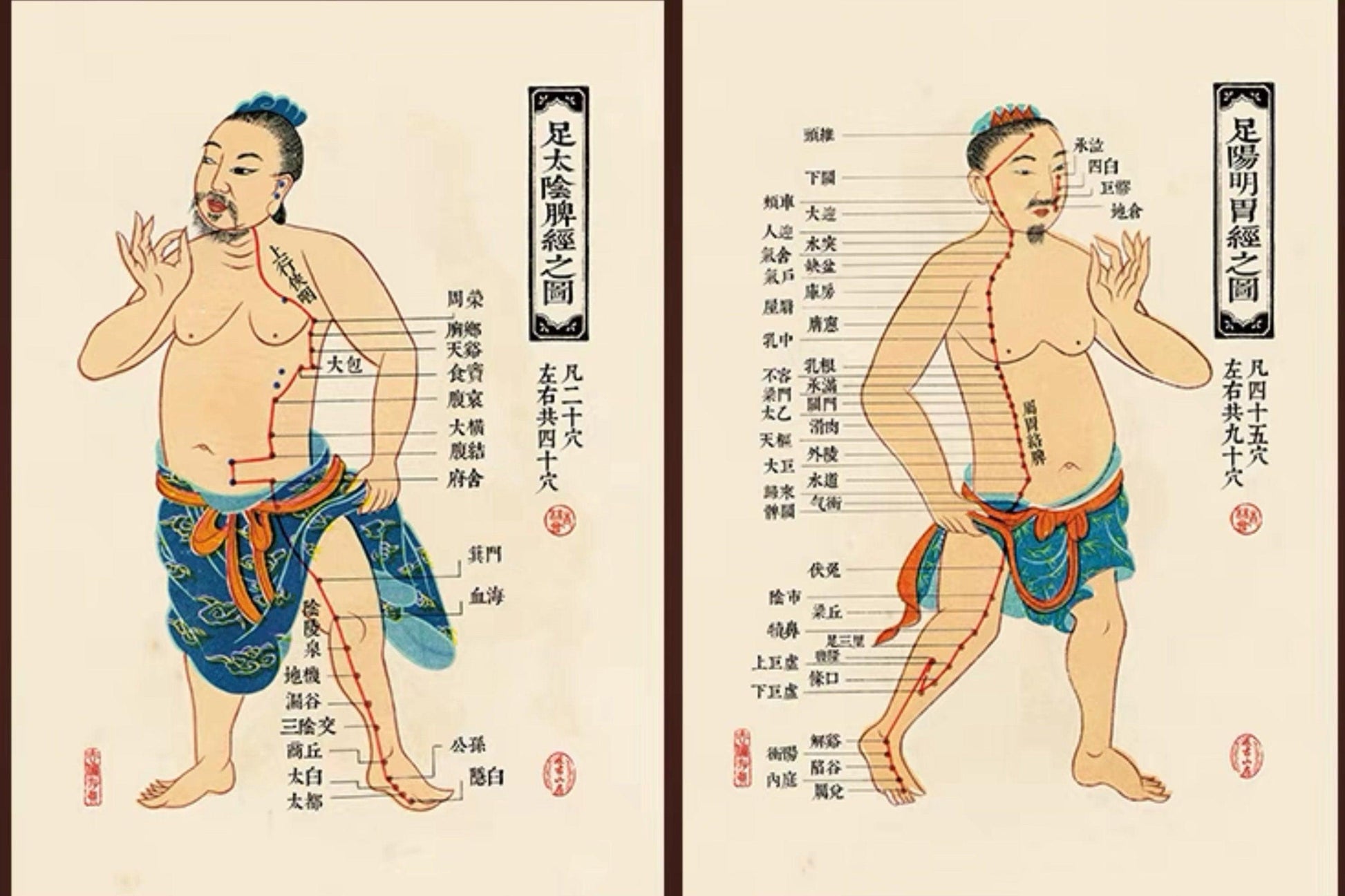 YUANWELLNESS: Colored Channels and Points Charts, Traditional Chinese Medicine - YUAN WELLNESS 