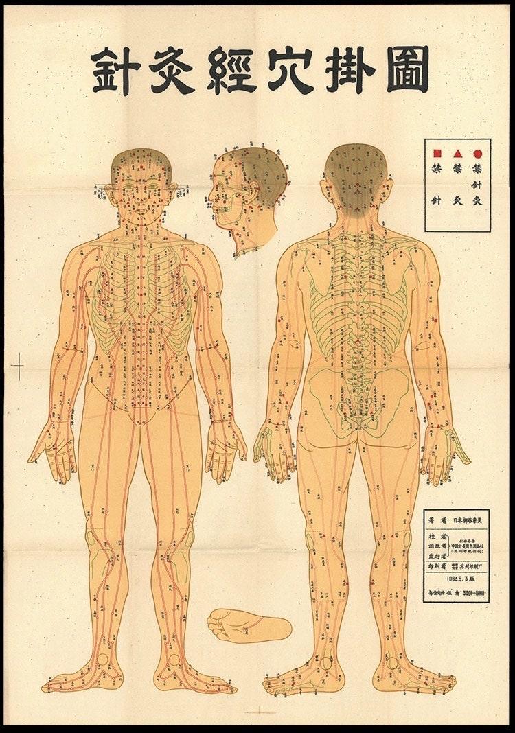 YUANWELLNESS: Channels and Points Chart, Traditional Chinese Medicine - YUAN WELLNESS 