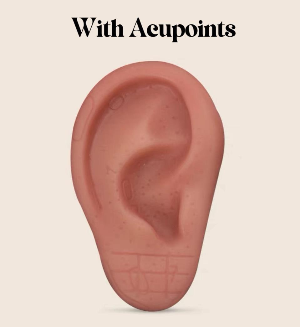 YUANWELLNESS: Life-Size Ear Acupuncture Model with Multiple Engraved Acupoints for Studying and Needle Practice - YUAN WELLNESS 
