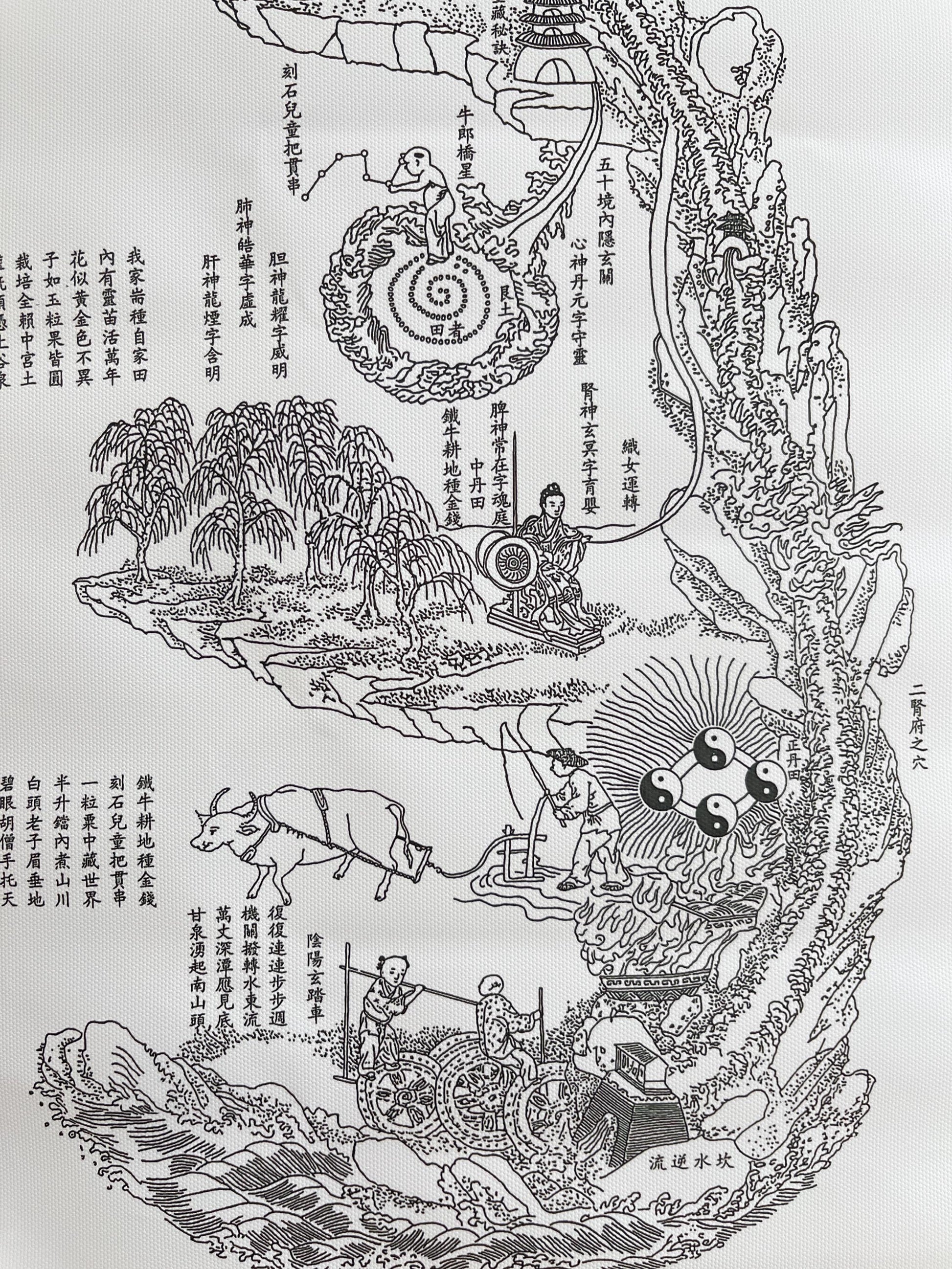 YUANWELLNESS: Neijing Tu, Taoist “Inner Landscape”,Diagram of the human body, Traditional Chinese Medicine, Line Drawing Version - YUAN WELLNESS 